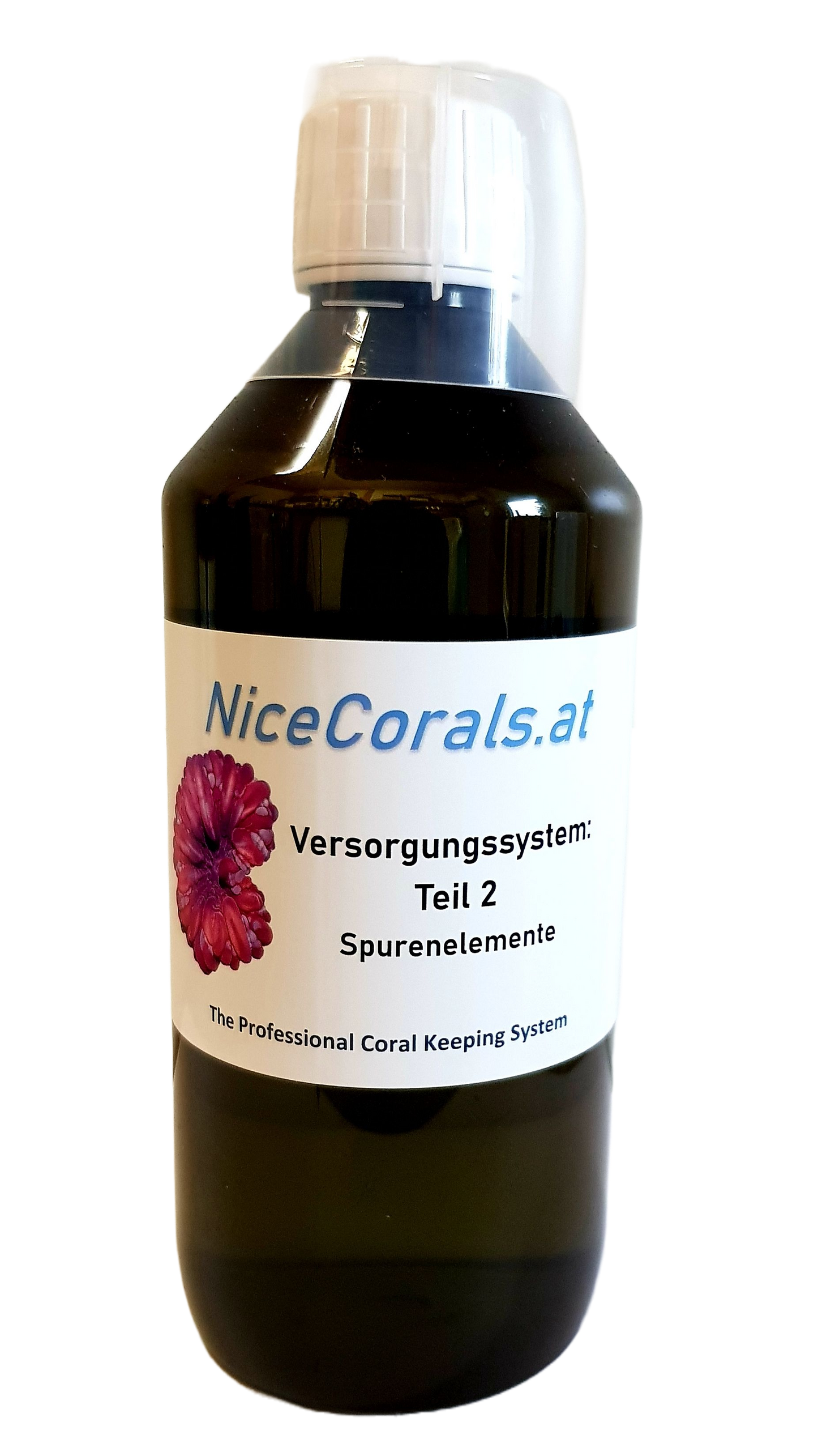 NiceCorals.at supply system part 2