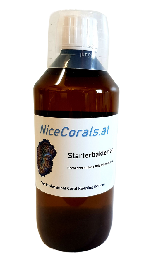 NiceCorals.at Starterbakterien | 500ml