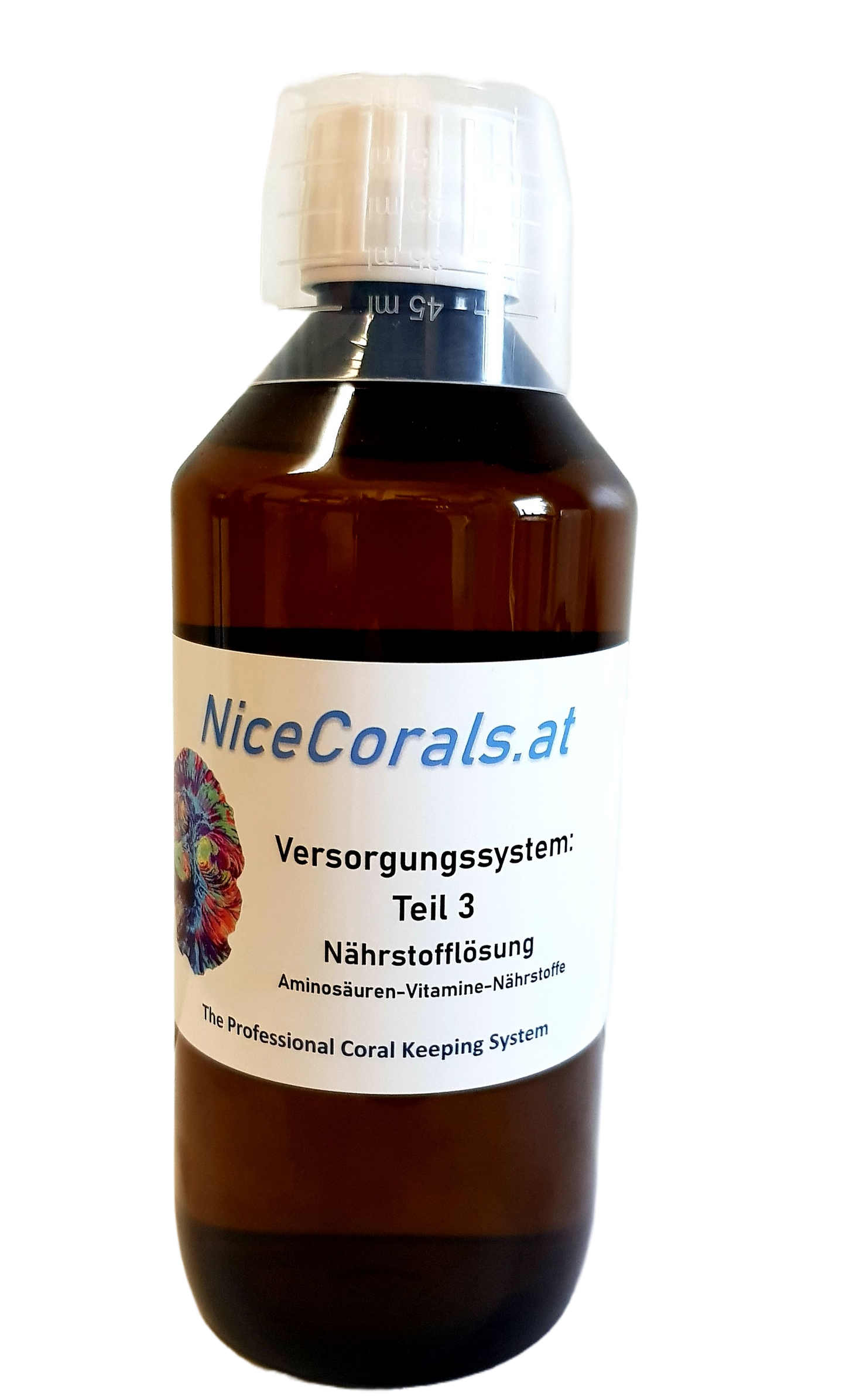 NiceCorals.at Versorgungssystem Teil 3